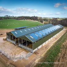 Prefabricated Steel Structure Poultry House Chicken Farm Shed